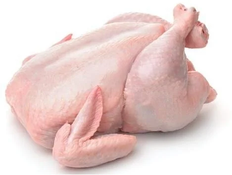 Frozen Chicken from Brazil, wholesale export supplier (Halal-certified Brazilian poultry, IQF-frozen and export-ready.)