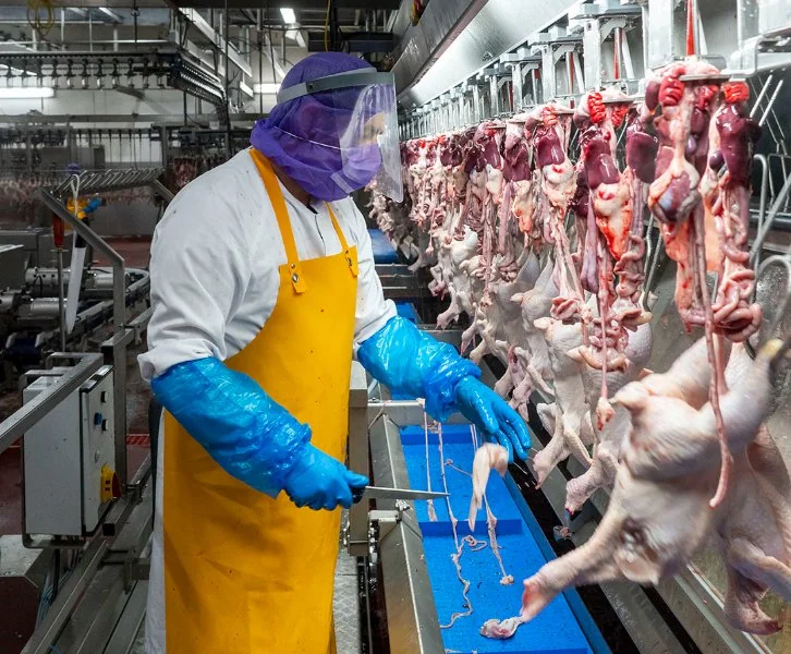 Brazilian food export operations: refrigerated containers loading at the Port of Santos